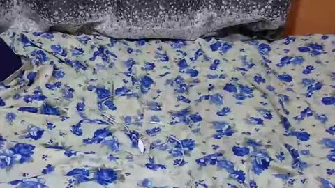 Snapshot of scorviaamanda254 chatting on January 2025 07:03:01 PM Its Lilly online show from January 2025 07:03:01 PM