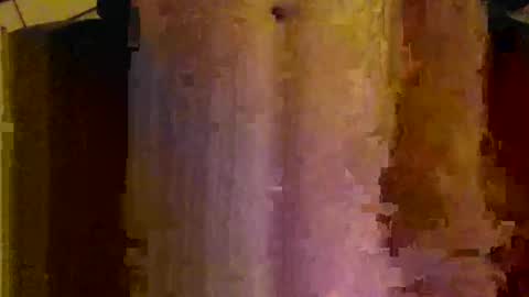 scott1usa online show from December 2024 08:22:02 AM