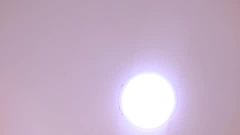 Snapshot of scottdamar chatting on January 2026 06:32:02 PM Damar online show from January 2026 06:32:02 PM