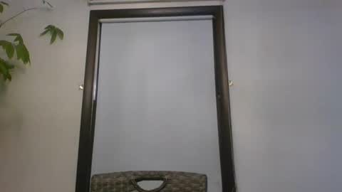 scottpbi52 online show from January 2025 01:00:02 PM