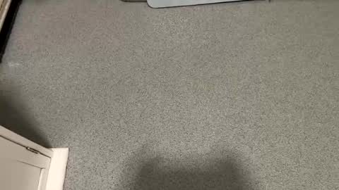 scottyc48 online show from November 2025 07:41:02 AM