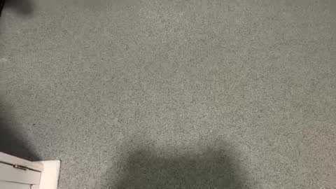 scottyc48 online show from December 2025 11:05:01 AM