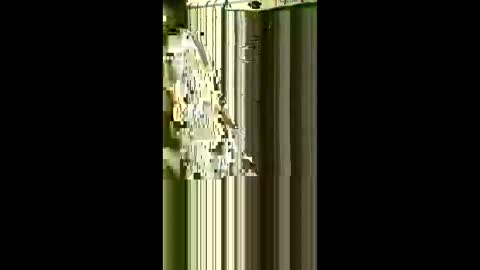 scoutiii online show from May 2026 07:57:02 AM