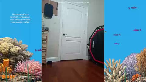 Snapshot of scrubbyluv chatting on February 2026 07:07:01 AM ScrubbyLuv online show from February 2026 07:07:01 AM