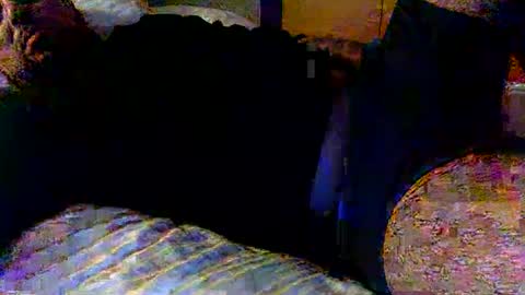 dick online show from February 2025 12:00:02 PM