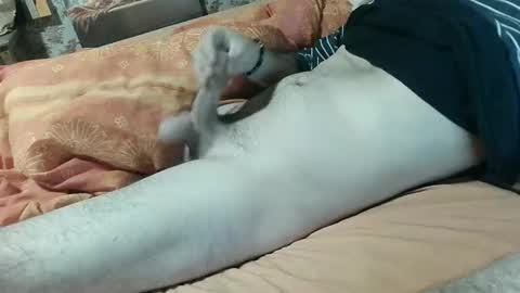 Snapshot of seb_aze chatting on February 2025 08:14:02 PM seb online show from February 2025 08:14:02 PM