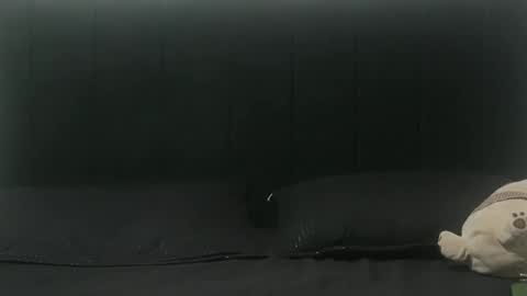 Snapshot of sebastiano_97 chatting on February 2025 03:20:01 AM Sebastiano online show from February 2025 03:20:01 AM