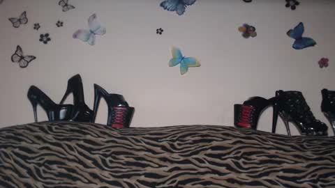 Snapshot of secoiya chatting on February 2025 08:58:02 PM Emily online show from February 2025 08:58:02 PM