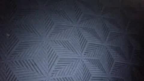 Sunny online show from January 2026 08:51:02 PM