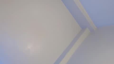 Snapshot of seductivetranslady chatting on February 2025 02:32:02 PM NICA online show from February 2025 02:32:02 PM