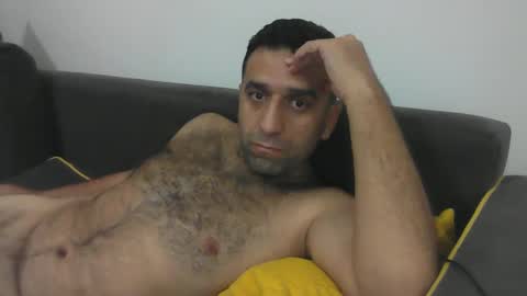 Snapshot of sedulo chatting on January 2025 09:36:01 PM seyfo online show from January 2025 09:36:01 PM