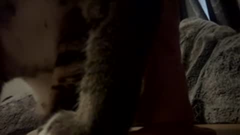 Lexxisse online show from November 2025 04:11:02 PM