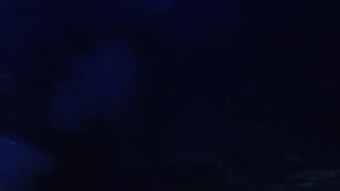 Seeker online show from May 2026 05:57:02 AM
