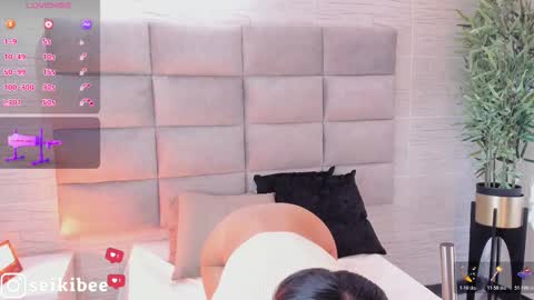 Snapshot of seikibee chatting on February 2026 04:24:01 AM seikibee online show from February 2026 04:24:01 AM