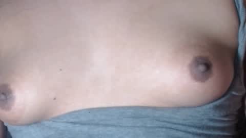 Selda online show from February 2026 08:44:02 AM