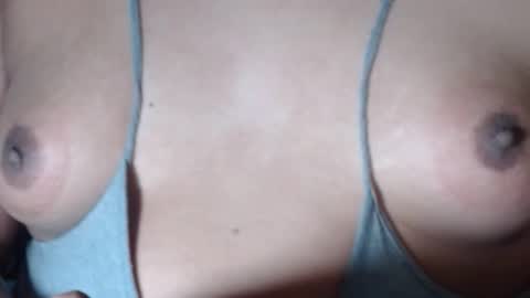 Selda online show from February 2026 08:26:01 AM