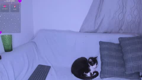 Selene Noire online show from July 2026 11:23:02 PM