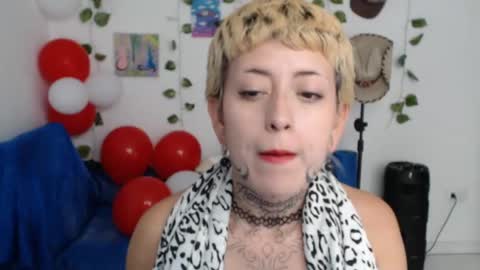 Ask me online show from May 2026 04:04:02 PM
