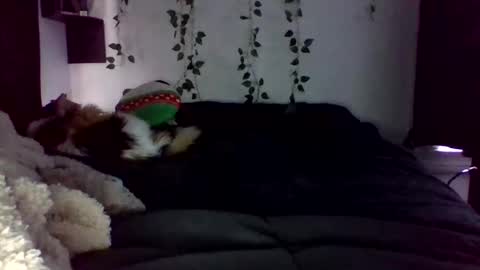 Lauren online show from April 2026 09:16:01 PM