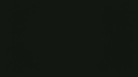 selfpound online show from December 2025 04:33:01 PM