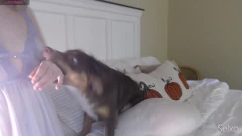 Snapshot of selxo chatting on October 2025 01:33:02 PM Sel online show from October 2025 01:33:02 PM