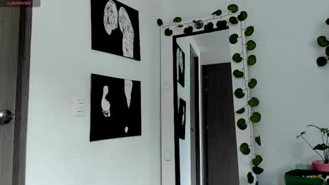 Selyn online show from February 2026 02:24:02 PM