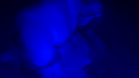 Snapshot of sensualsilhoutte chatting on July 2026 04:04:02 AM sensualsilhoutte online show from July 2026 04:04:02 AM