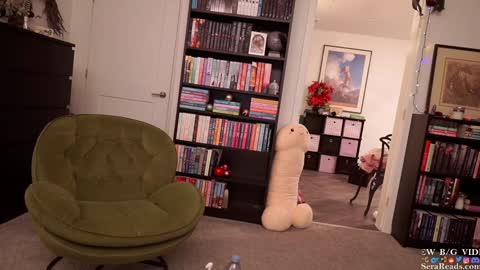 Snapshot of serareads chatting on January 2025 07:42:01 AM SeraReads online show from January 2025 07:42:01 AM