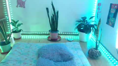 samy online show from May 2026 01:47:02 AM