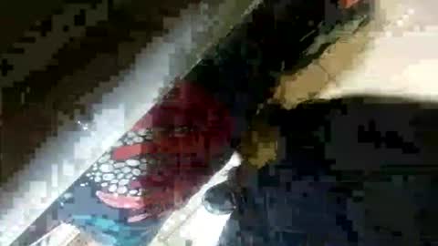 Snapshot of seus1149 chatting on July 2026 07:06:02 AM seus1149 online show from July 2026 07:06:02 AM
