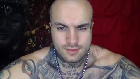SevenDragons online show from July 2026 04:42:02 PM