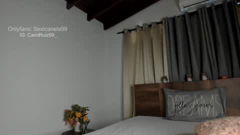 ... Camila ... online show from January 2025 04:52:02 PM