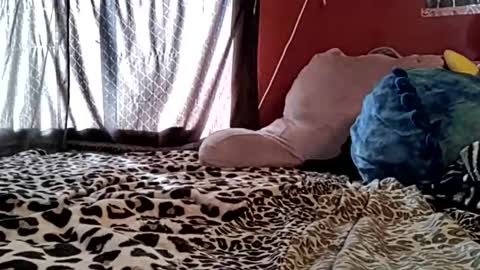 sexiwhiskey699 online show from February 2026 10:33:01 PM