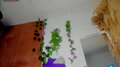 Snapshot of sexking_david chatting on December 2025 11:02:01 PM sexking_david online show from December 2025 11:02:01 PM