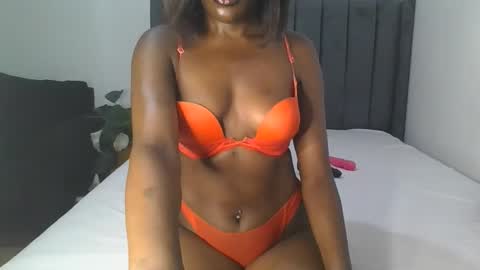 Arria online show from February 2026 10:34:02 AM