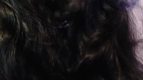 Snapshot of sexy_impact chatting on January 2025 03:33:01 AM online show from January 2025 03:33:01 AM