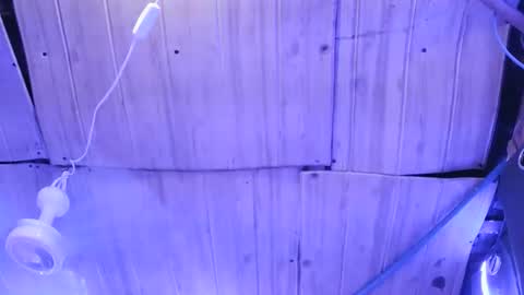 Snapshot of sexy_margaret7 chatting on November 2025 04:34:01 AM sexy_margaret7 online show from November 2025 04:34:01 AM