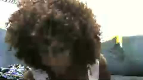 Rinah online show from July 2026 09:24:01 AM