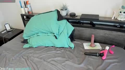 Snapshot of sexyariel15 chatting on October 2025 04:51:01 PM SexyAriel15 online show from October 2025 04:51:01 PM