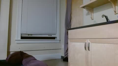 Snapshot of sexydavido chatting on February 2026 07:51:01 AM TreySexxxy online show from February 2026 07:51:01 AM