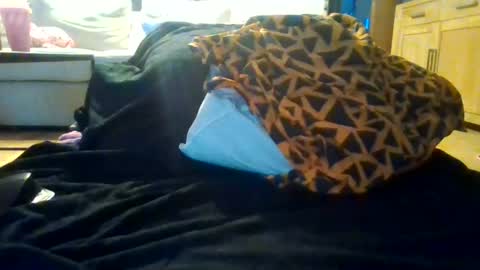 sexydenmark36 online show from July 2026 07:31:01 PM