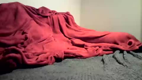 Snapshot of sexygg8331 chatting on December 2024 01:10:01 AM sexygg8331 online show from December 2024 01:10:01 AM