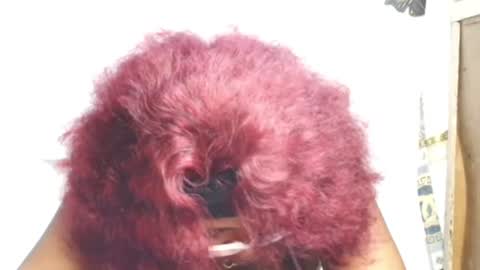 Marvellous online show from June 2026 04:22:02 PM