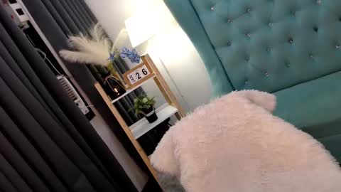 JENNY online show from January 2025 06:28:01 AM