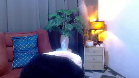 JENNY online show from July 2026 03:09:01 AM