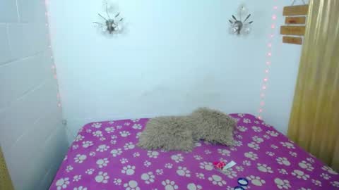 Kata sexy online show from June 2026 11:32:01 PM
