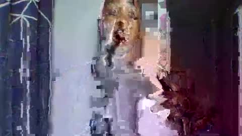 Snapshot of sexykuchie889 chatting on May 2026 09:31:01 PM malia online show from May 2026 09:31:01 PM