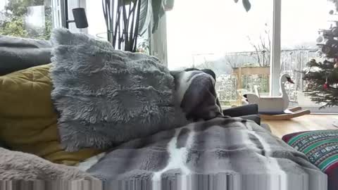 Snapshot of sexylover81ch chatting on December 2025 11:28:01 AM sexylover81ch online show from December 2025 11:28:01 AM