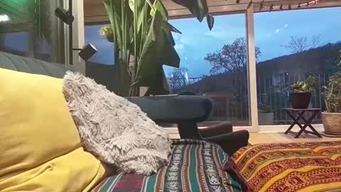 Snapshot of sexylover81ch chatting on April 2026 06:13:02 PM sexylover81ch online show from April 2026 06:13:02 PM