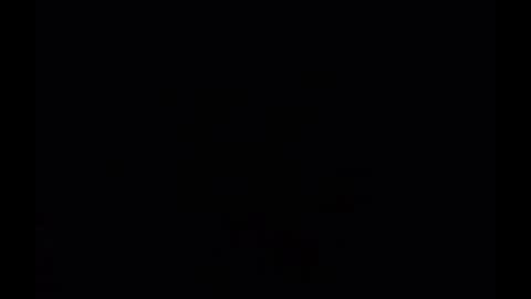 In the night in South America online show from December 2024 01:06:02 PM